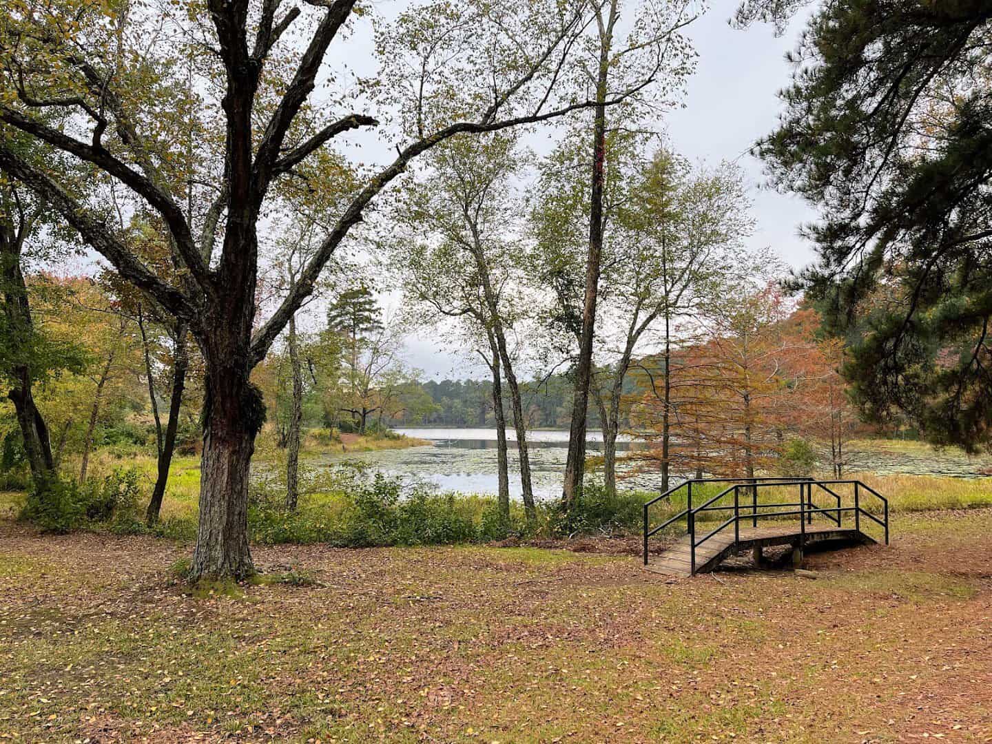 Wooden footbridge over a creek in the woods at Daingerfield State Park, Texas