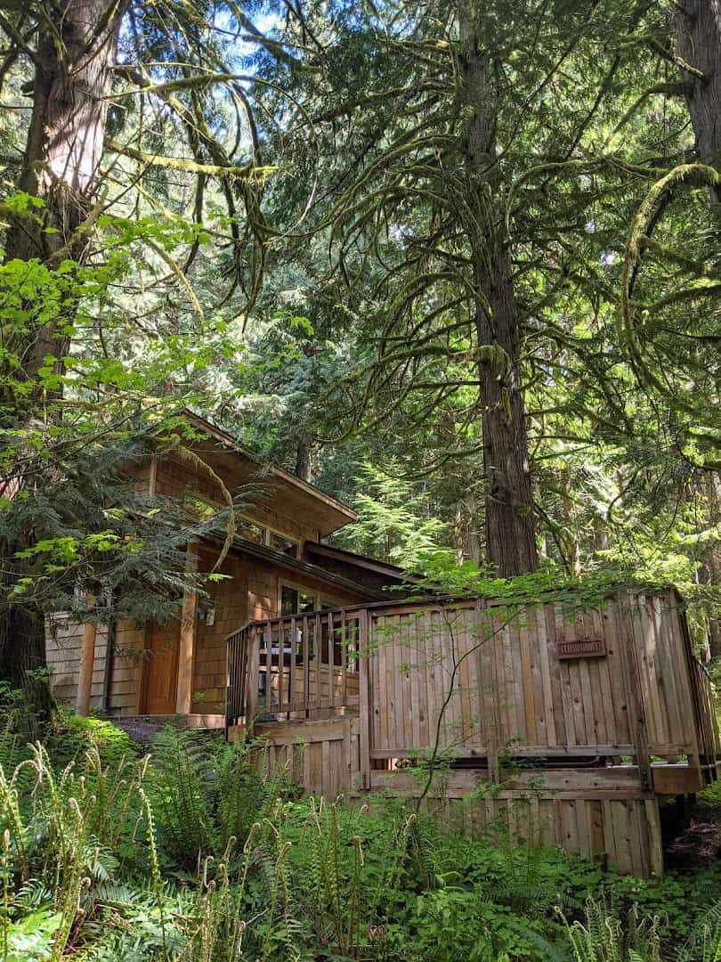 Wood cabin among tall firs at Deep Forest Cabins near Mount Rainier, Washington