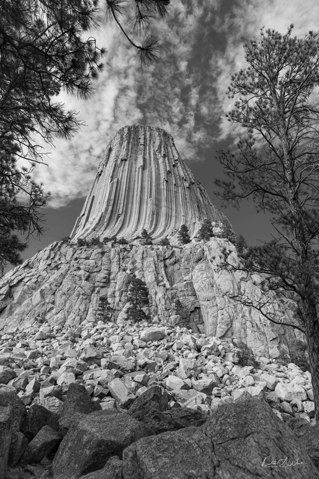 Devils Tower monolith rising above the rocks in Wyoming