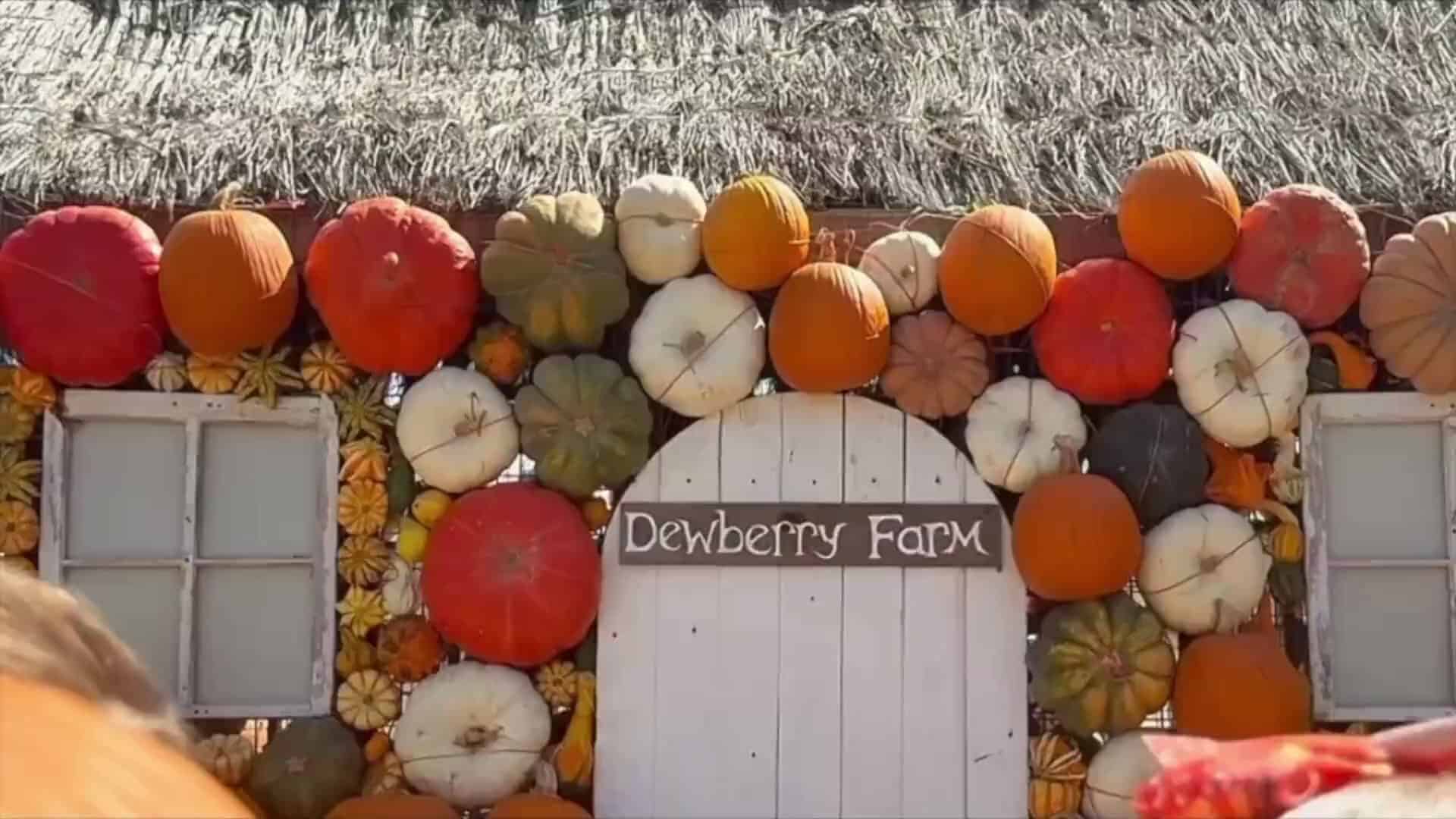Colorful pumpkin and gourd display at the entrance of Dewberry Farm in Brookshire, Texas