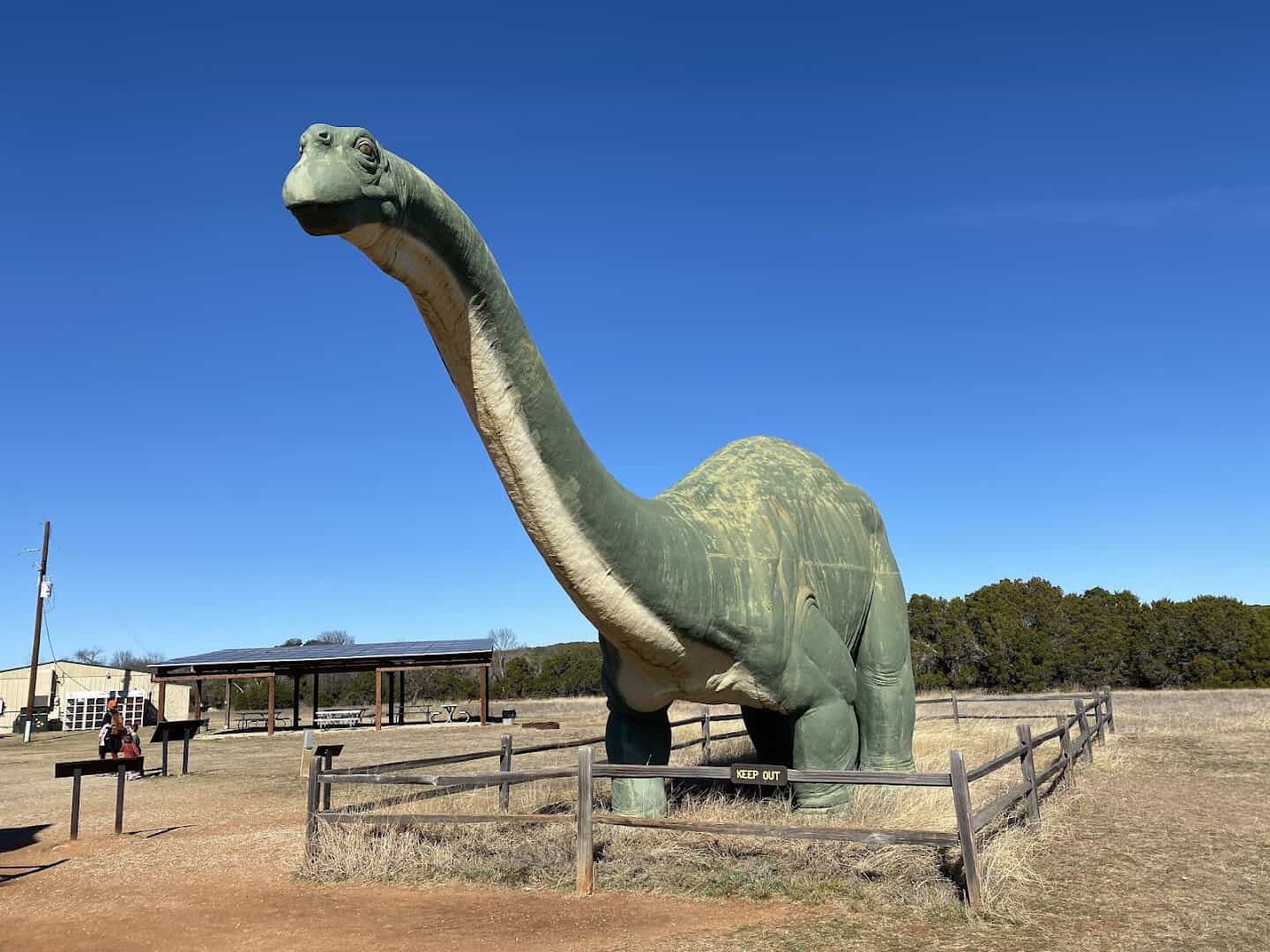 Fiberglass dinosaur model at Dinosaur Valley State Park in Glen Rose, Texas