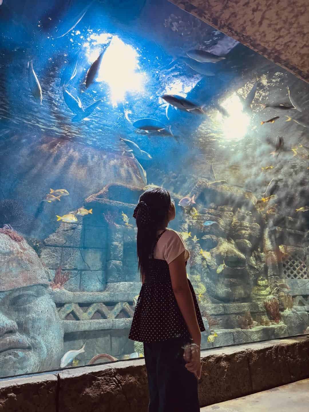 A visitor watching fish in a large tank at the Downtown Aquarium in Houston