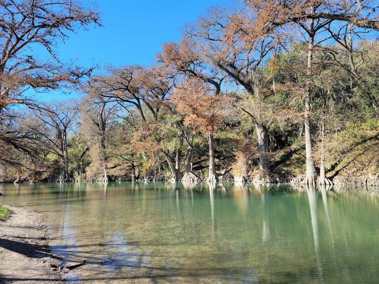 Emerald spring-fed water and submerged rocks at Guadalupe River State Park near Honey Creek, Texas