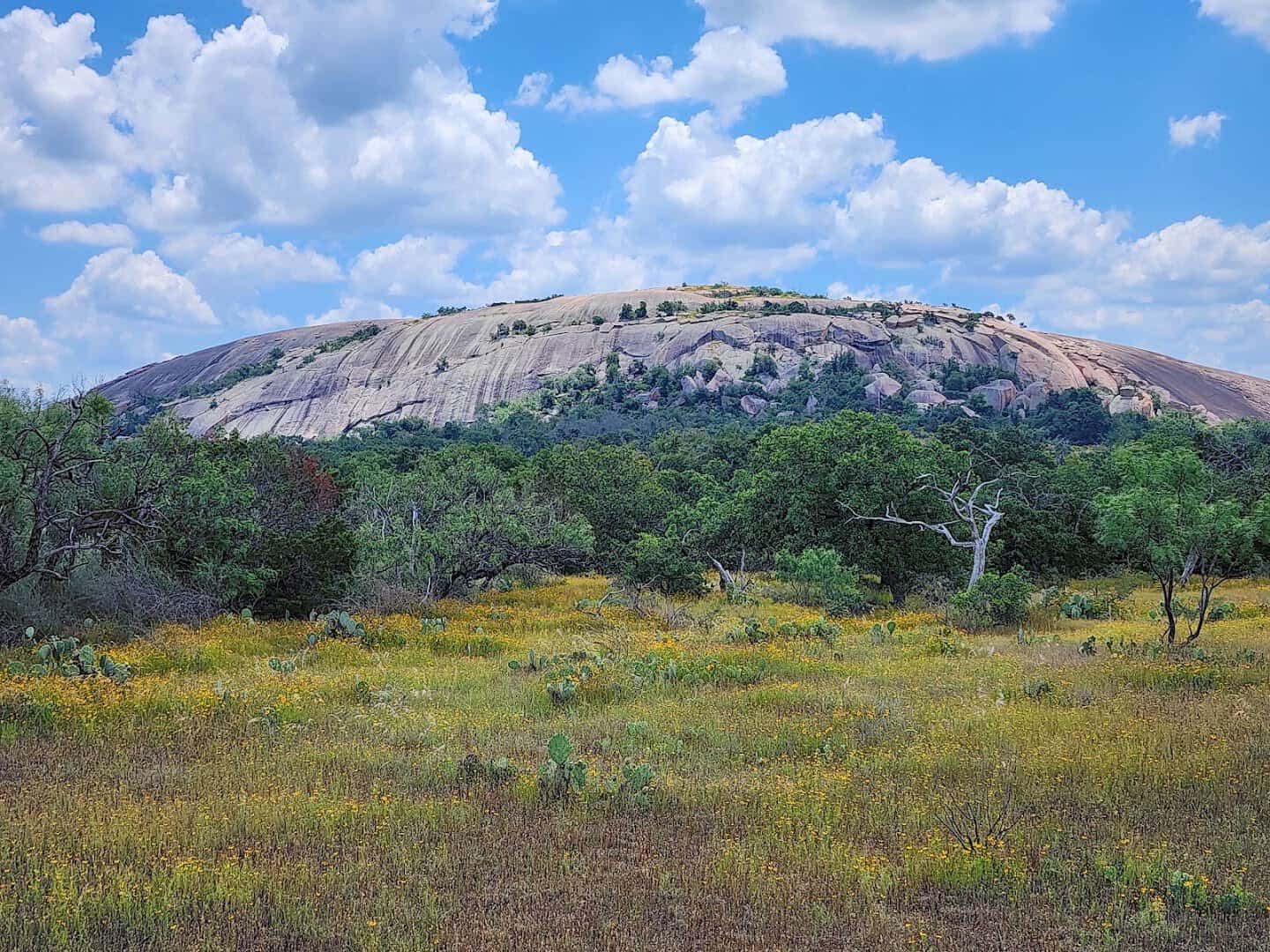 Pink granite dome and wildflowers at Enchanted Rock State Natural Area near Fredericksburg, Texas
