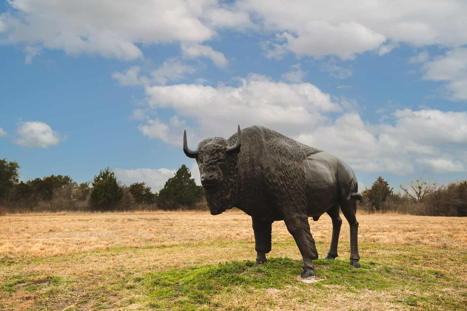 Bronze buffalo statue in a prairie field near Ennis Texas