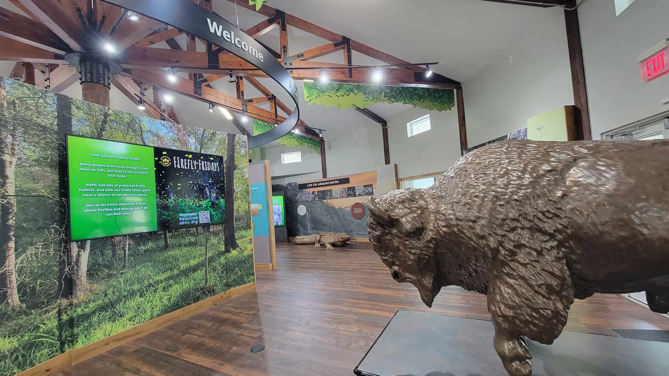 Interpretive exhibits and a bison mount inside the learning center at Armand Bayou Nature Center