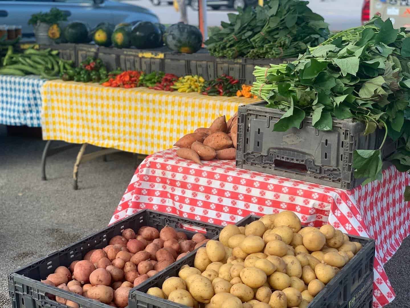 Fresh produce stand with potatoes and greens at Barton Creek Farmers Market in Austin, Texas