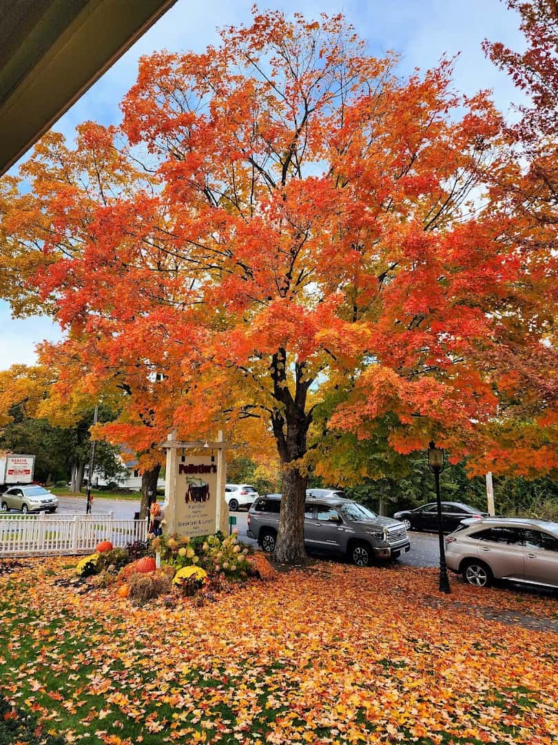 A bright red and orange maple tree in fall in Fish Creek, Wisconsin