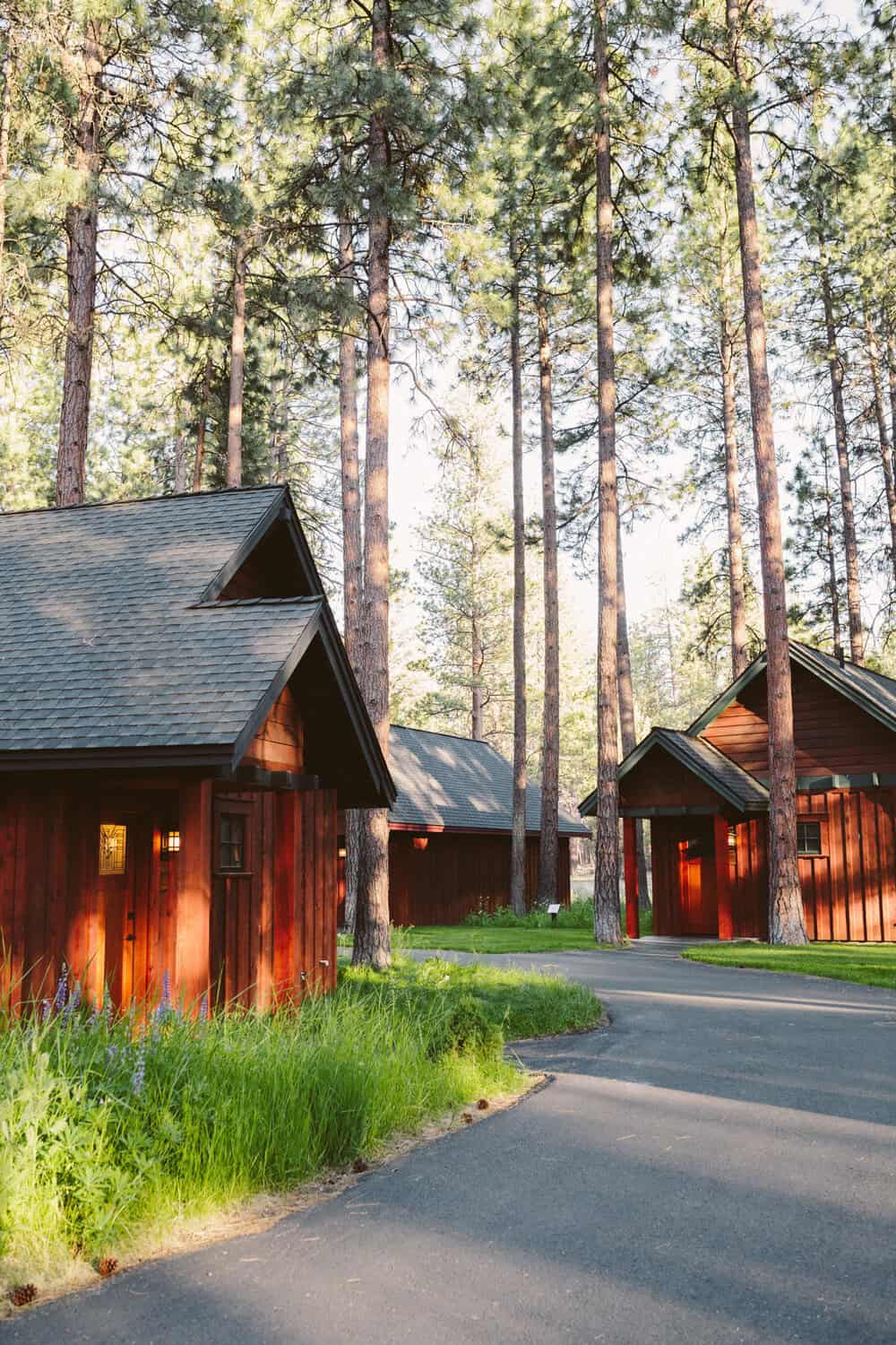 Craftsman cabins among ponderosa pines at FivePine Lodge in Sisters, Oregon