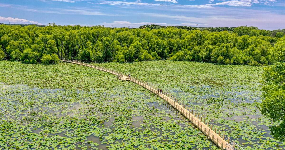 This Serene Texas Boardwalk Is the Longest Floating Walkway in the Entire Country