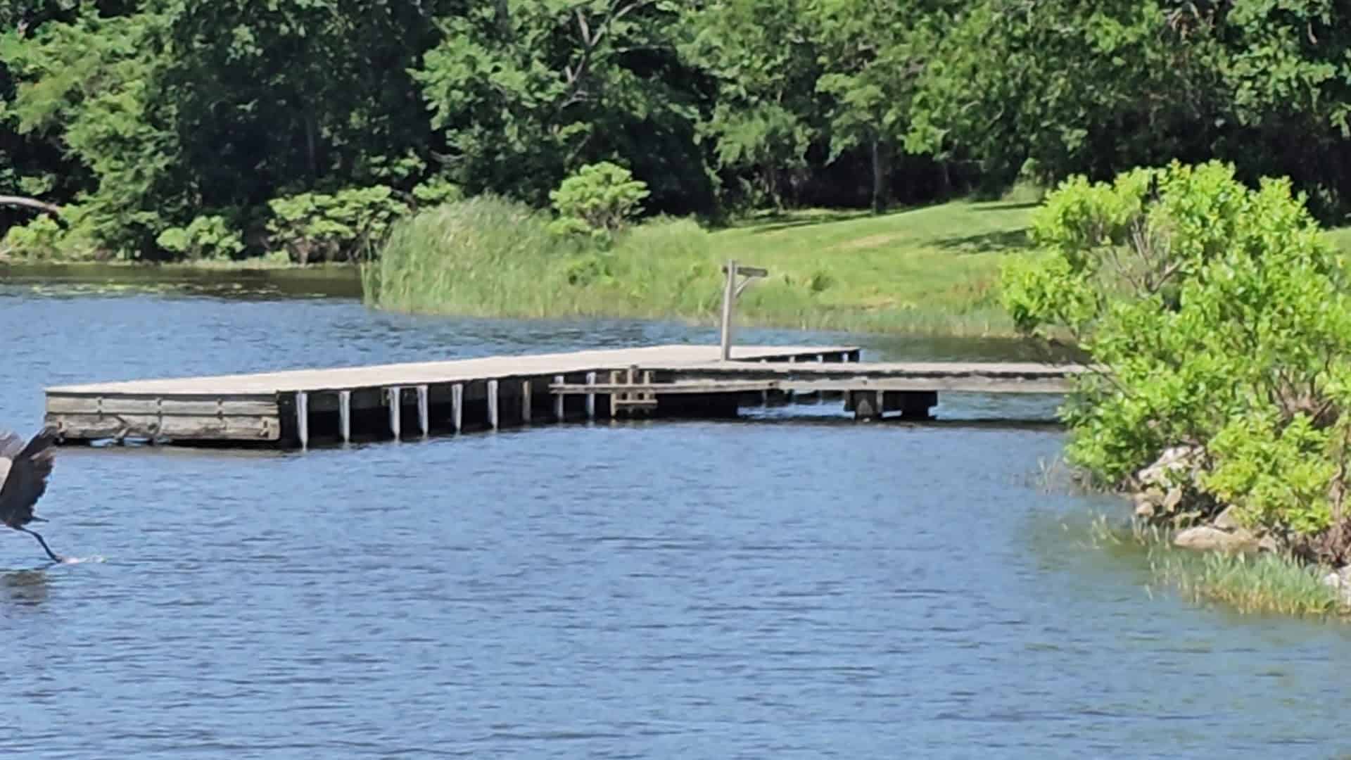 Floating dock on the calm lake at Purtis Creek State Park