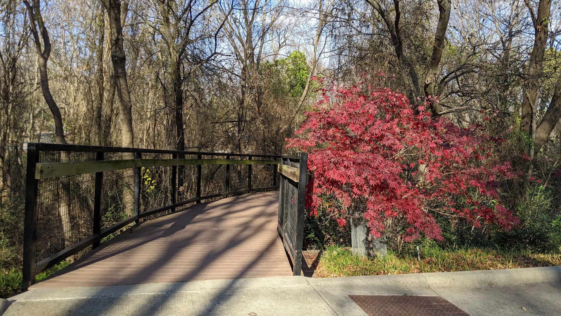 Footbridge and fall color at Prairie Creek Park in Richardson, Texas
