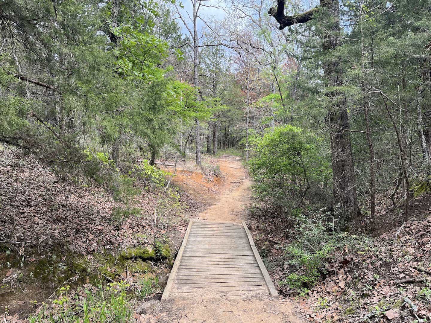 Wooded hiking trail at Purtis Creek State Park in Eustace Texas