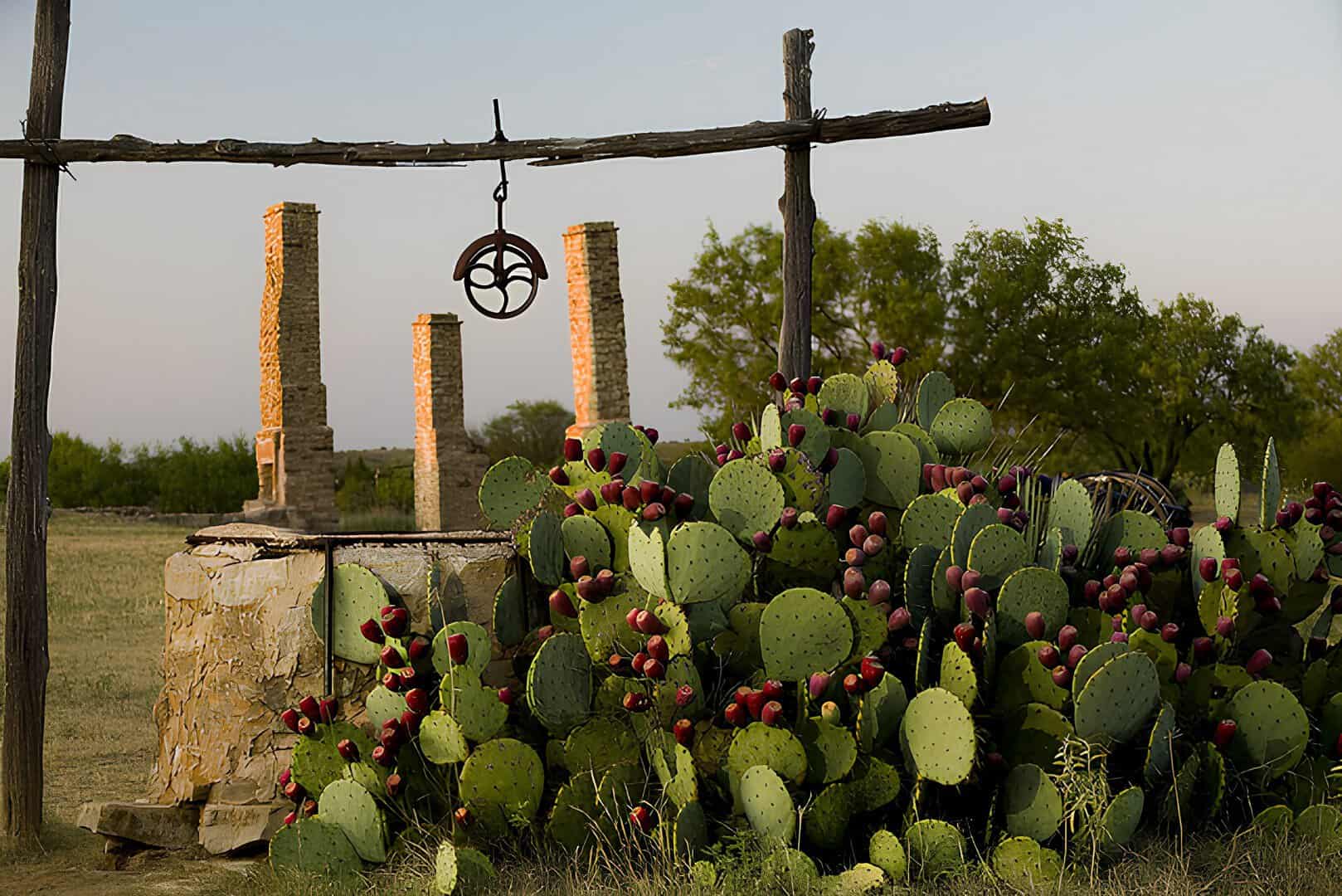 Stone chimney and old well behind prickly pear cactus at Fort Phantom Hill
