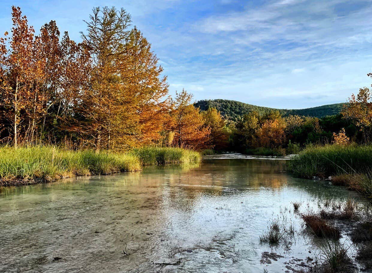 Autumn color along the Sabinal River at Foxfire Cabins, Vanderpool, Texas