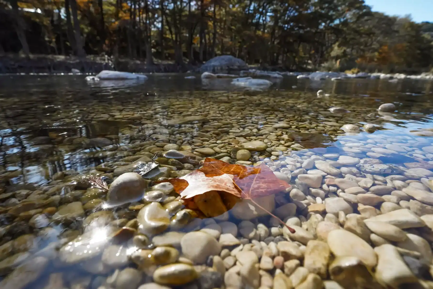 Crystal-clear Frio River water over pale pebbles near Concan, Texas