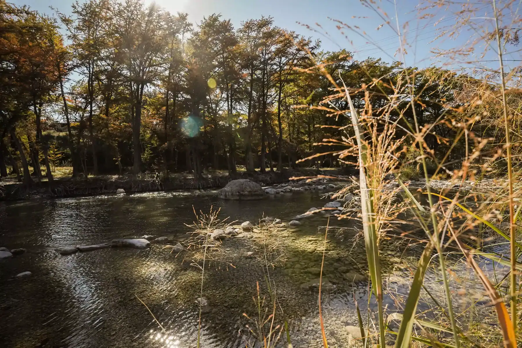 Sunlight on the cypress-lined Frio River near Concan in the Texas Hill Country