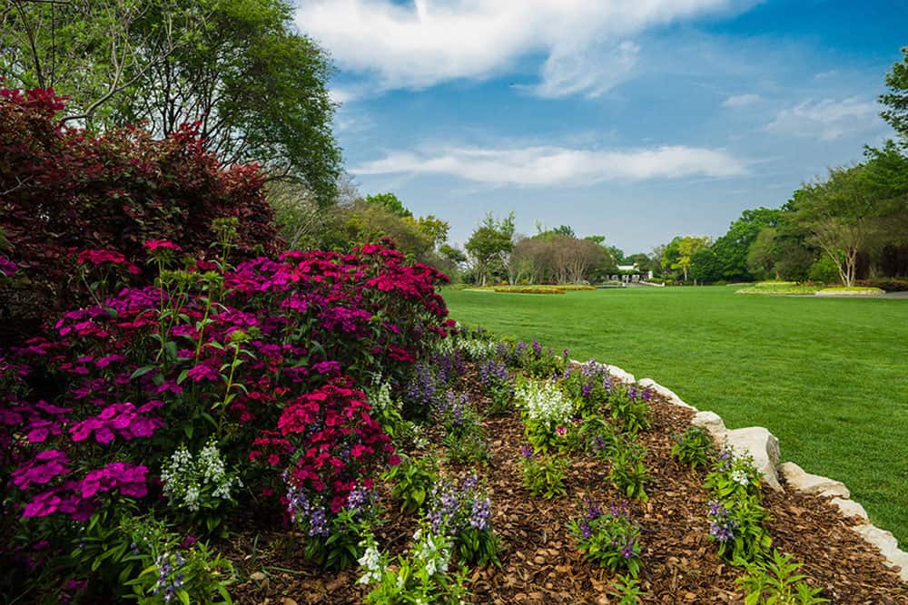 Sweeping flowerbeds and lawn under blue sky at the Dallas Arboretum in Dallas