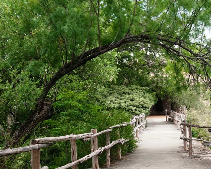Tree-shaded stone path through the Japanese Tea Garden in San Antonio