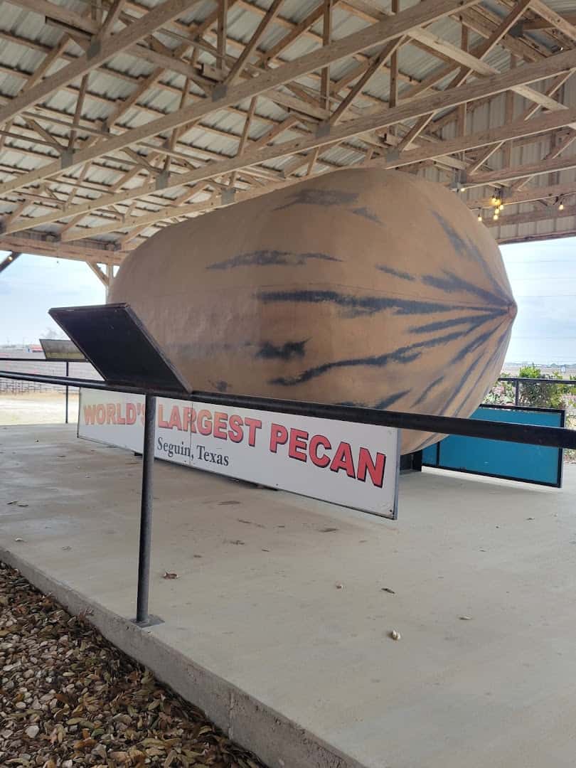Giant pecan sculpture under its pavilion in Seguin, Texas