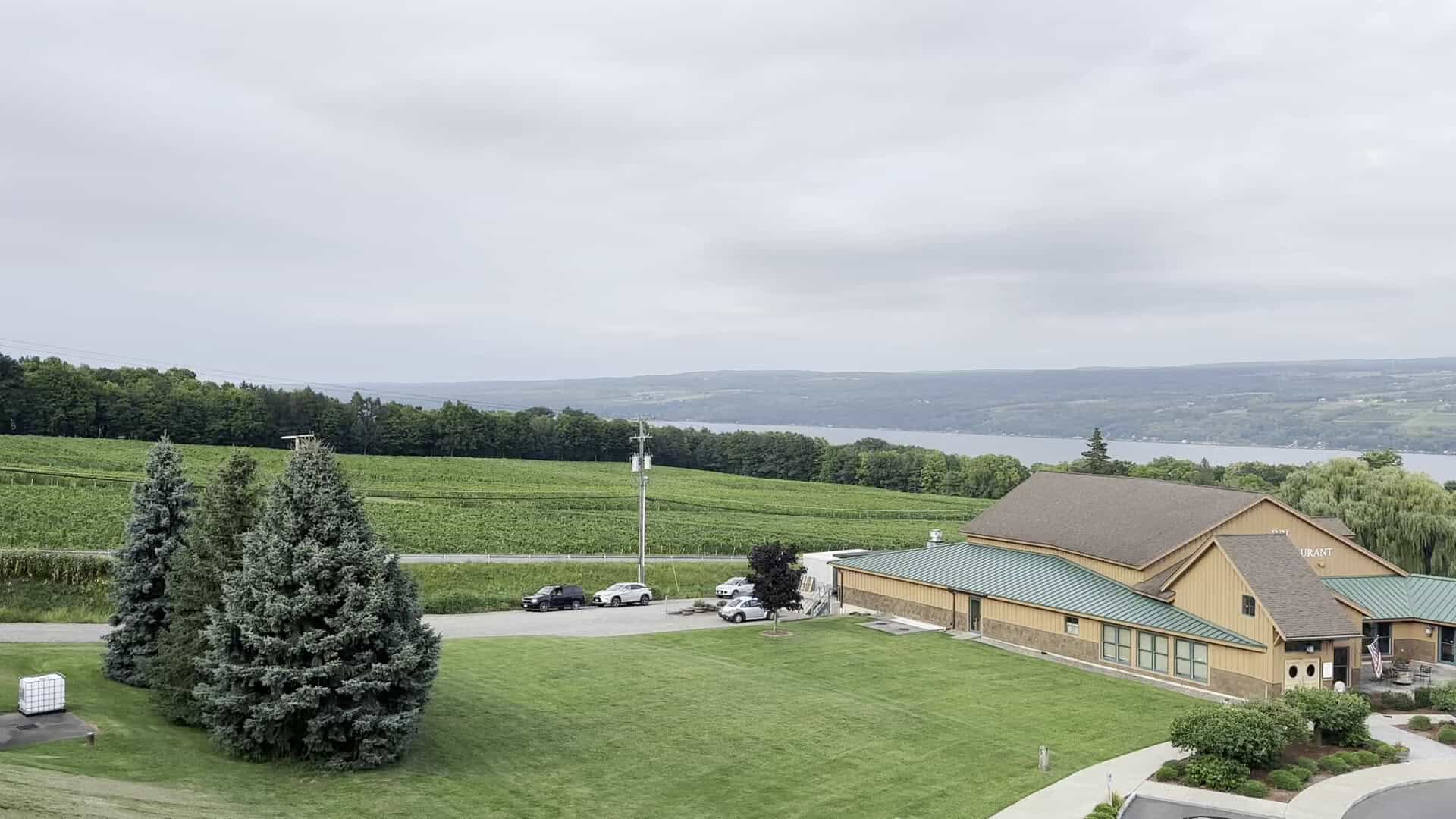 Vineyard overlooking Seneca Lake at Glenora Wine Cellars in the Finger Lakes, New York