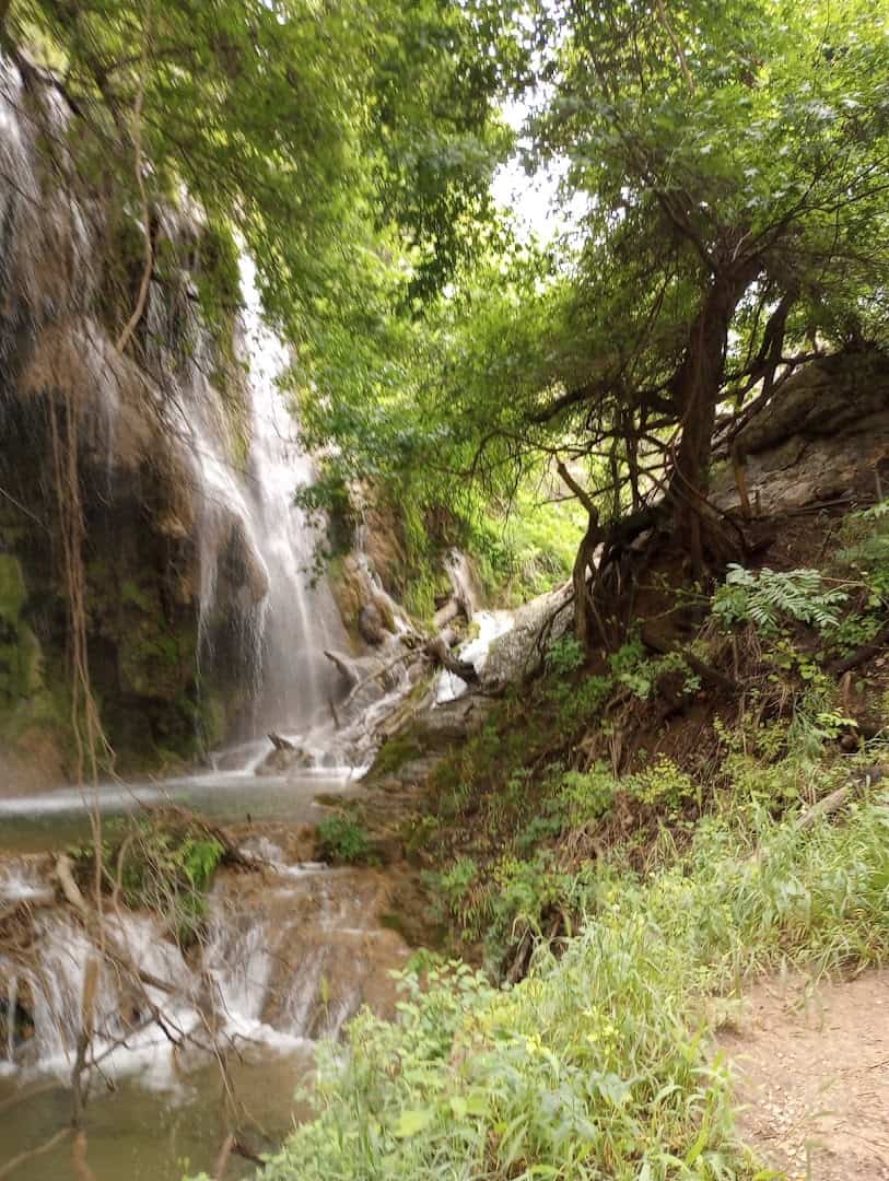 The tall Gorman Falls cascade dropping into a pool at Colorado Bend State Park