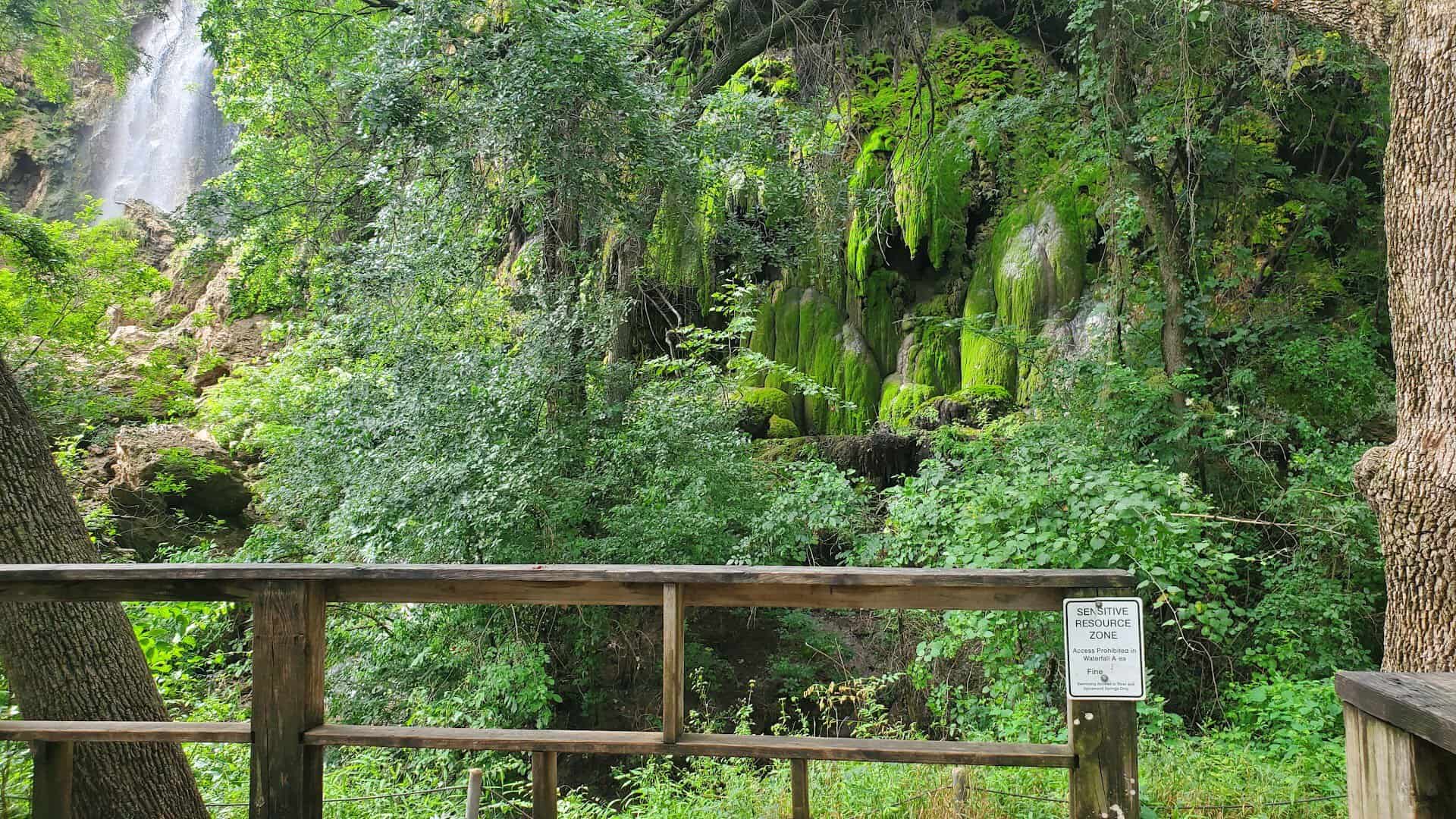 Travertine waterfall at Gorman Falls in Colorado Bend State Park, Texas