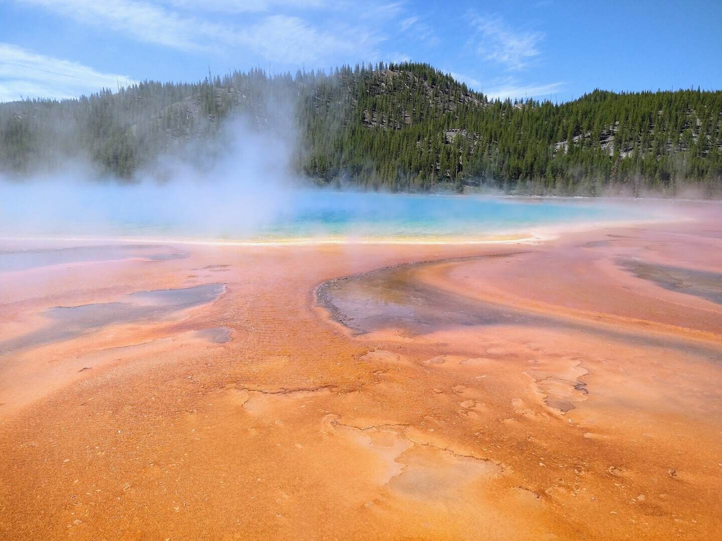 Rainbow colors and rising steam at Grand Prismatic Spring, Yellowstone National Park, Wyoming