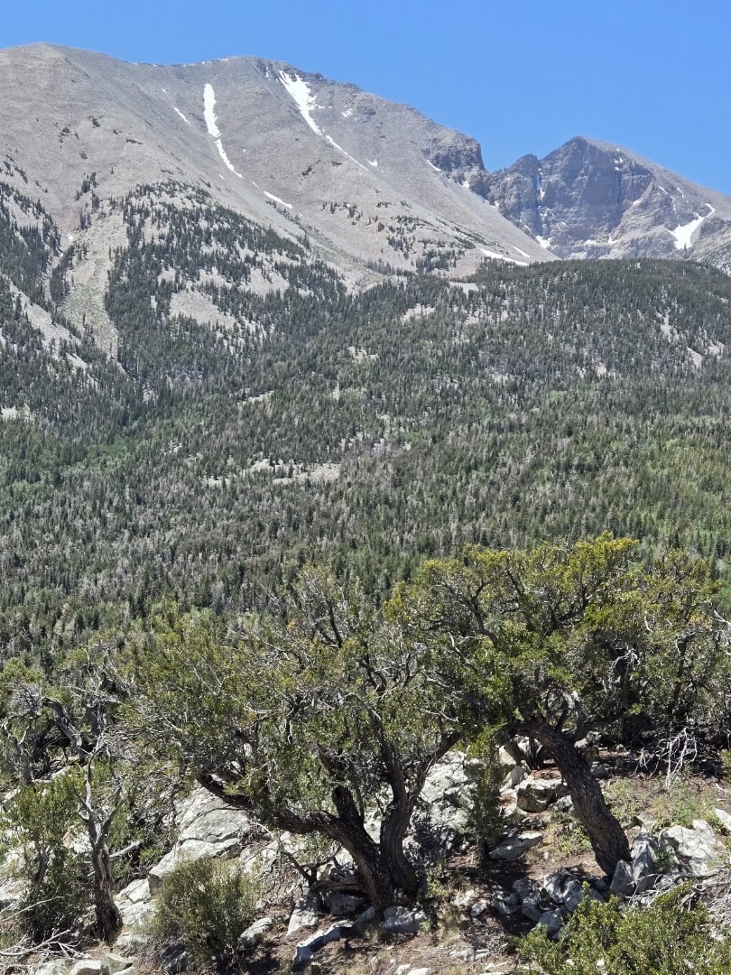 Wheeler Peak rising above Great Basin National Park, Nevada