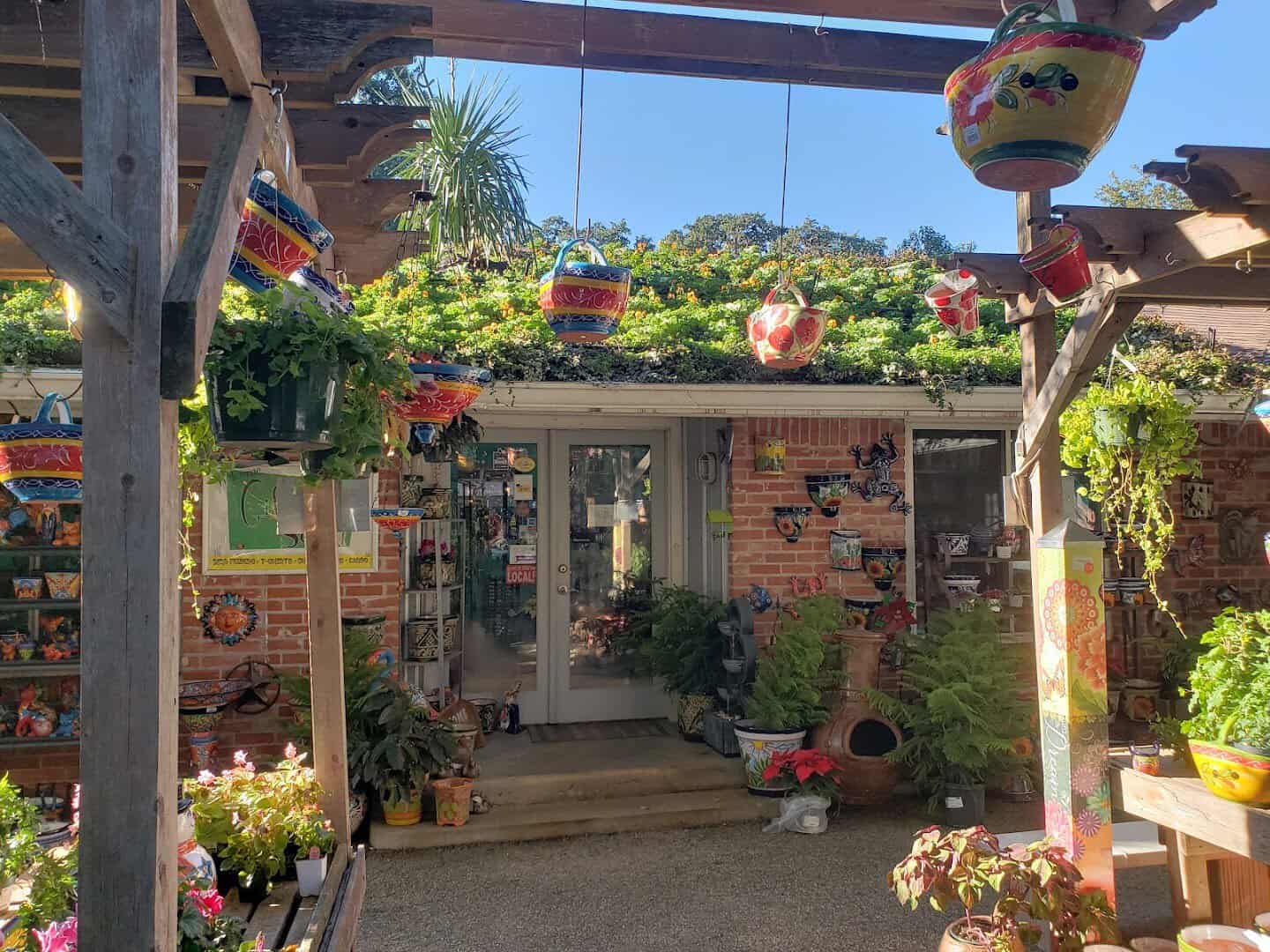 The Great Outdoors garden center entrance with hanging plants in Austin, Texas