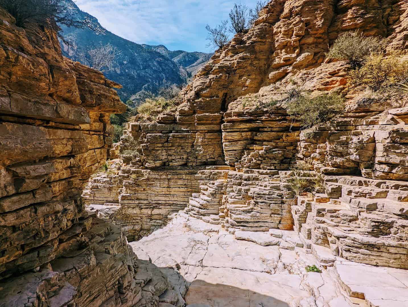 Fall foliage against limestone walls in McKittrick Canyon, Guadalupe Mountains National Park, Texas