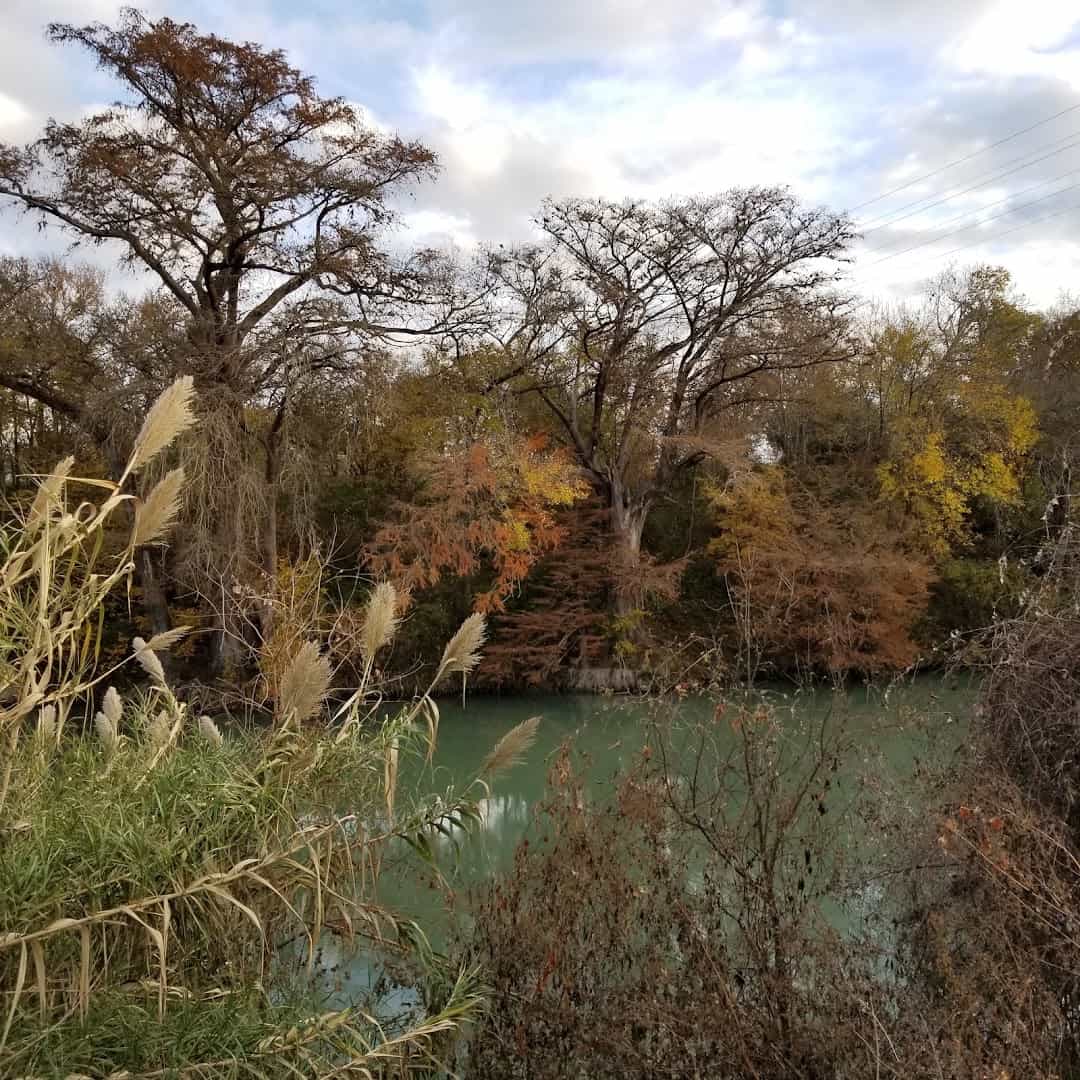 The Guadalupe River lined with trees in Seguin, Texas