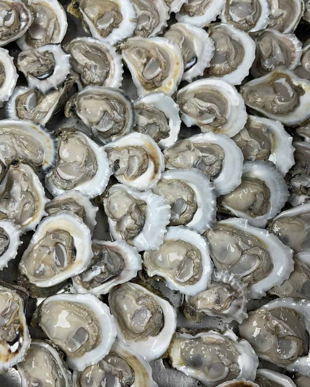 Fresh Gulf oysters on the half shell at Stingaree in Crystal Beach, Texas