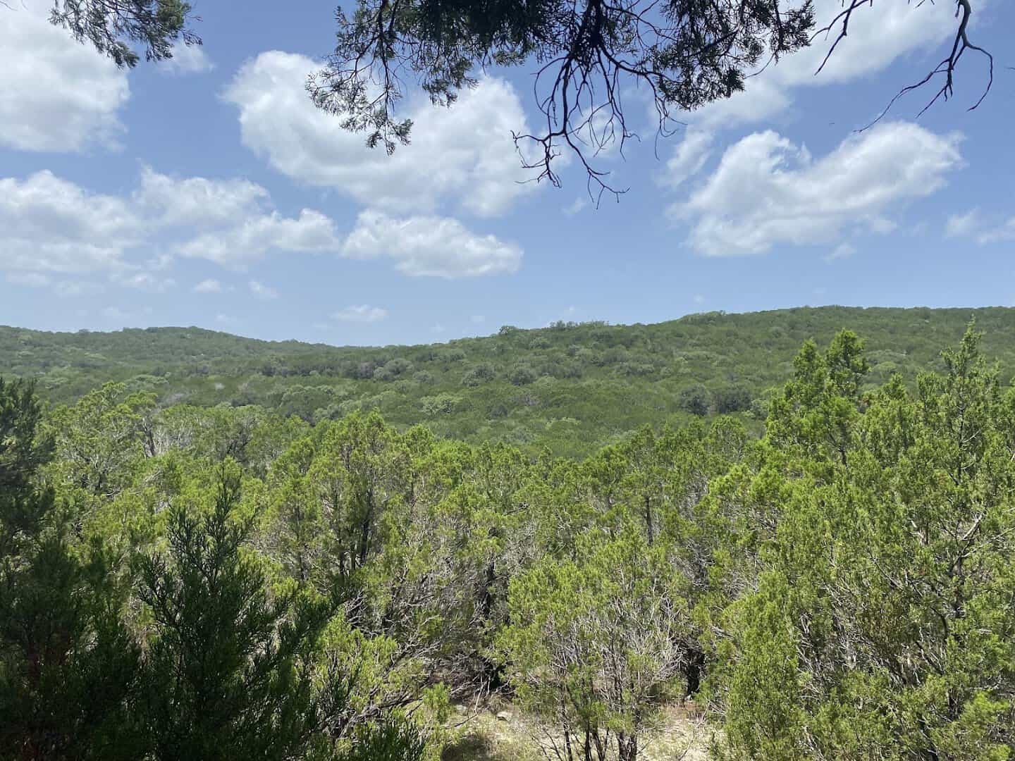 Hill Country vista from an overlook on River Place Nature Trail in Austin, Texas