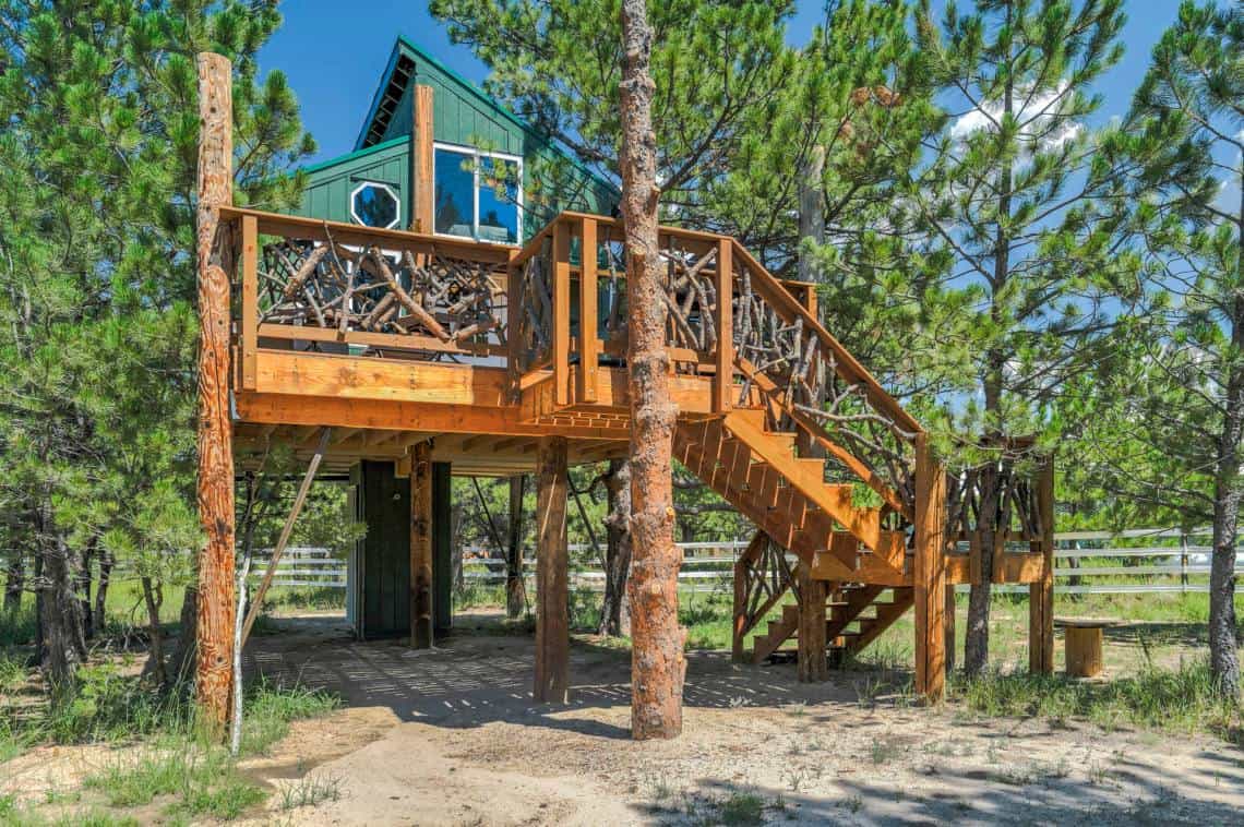 Elevated treehouse on stilts among pines at Hoste Treehouses in Larkspur, Colorado