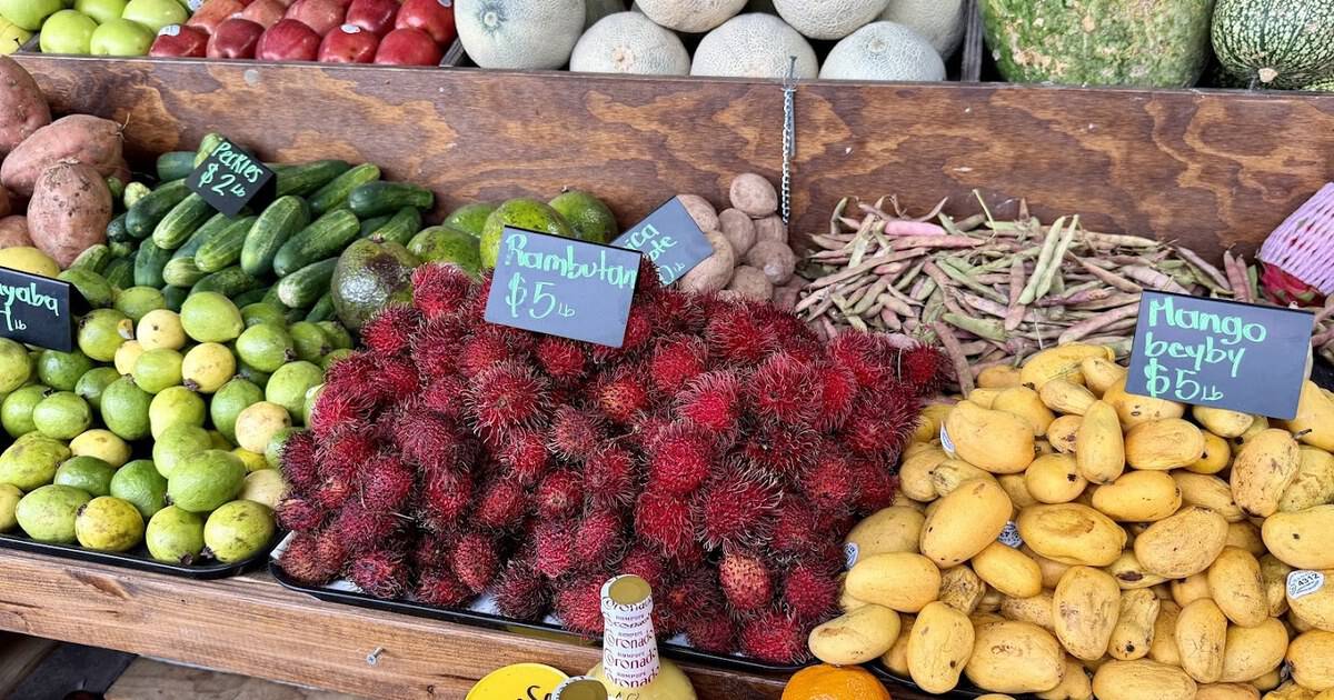 This Sprawling Texas Market Packs a Whole World of Flavors Into 18 Acres