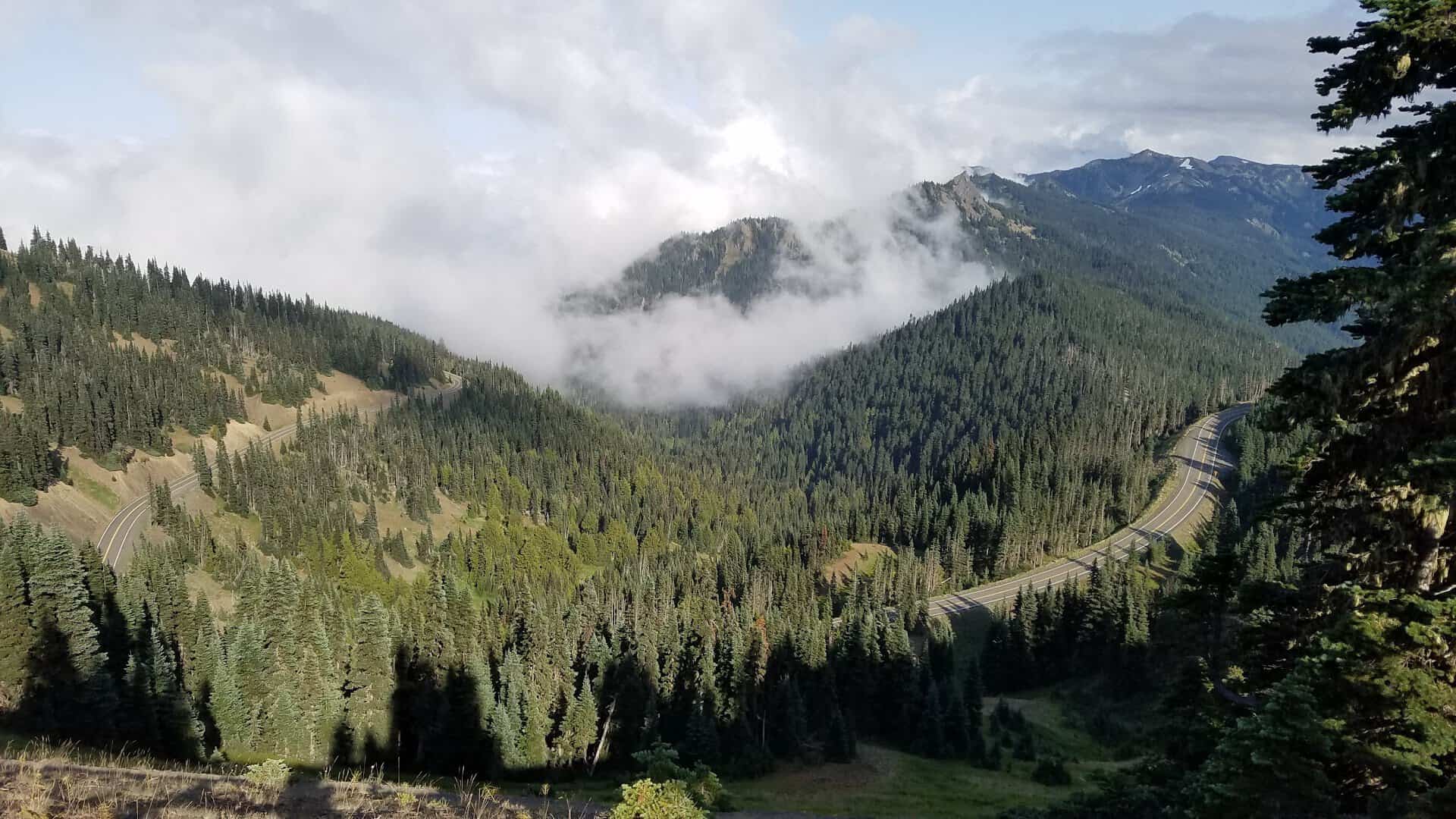 Mountain ridge and forested slopes at Hurricane Ridge, Olympic National Park, Washington