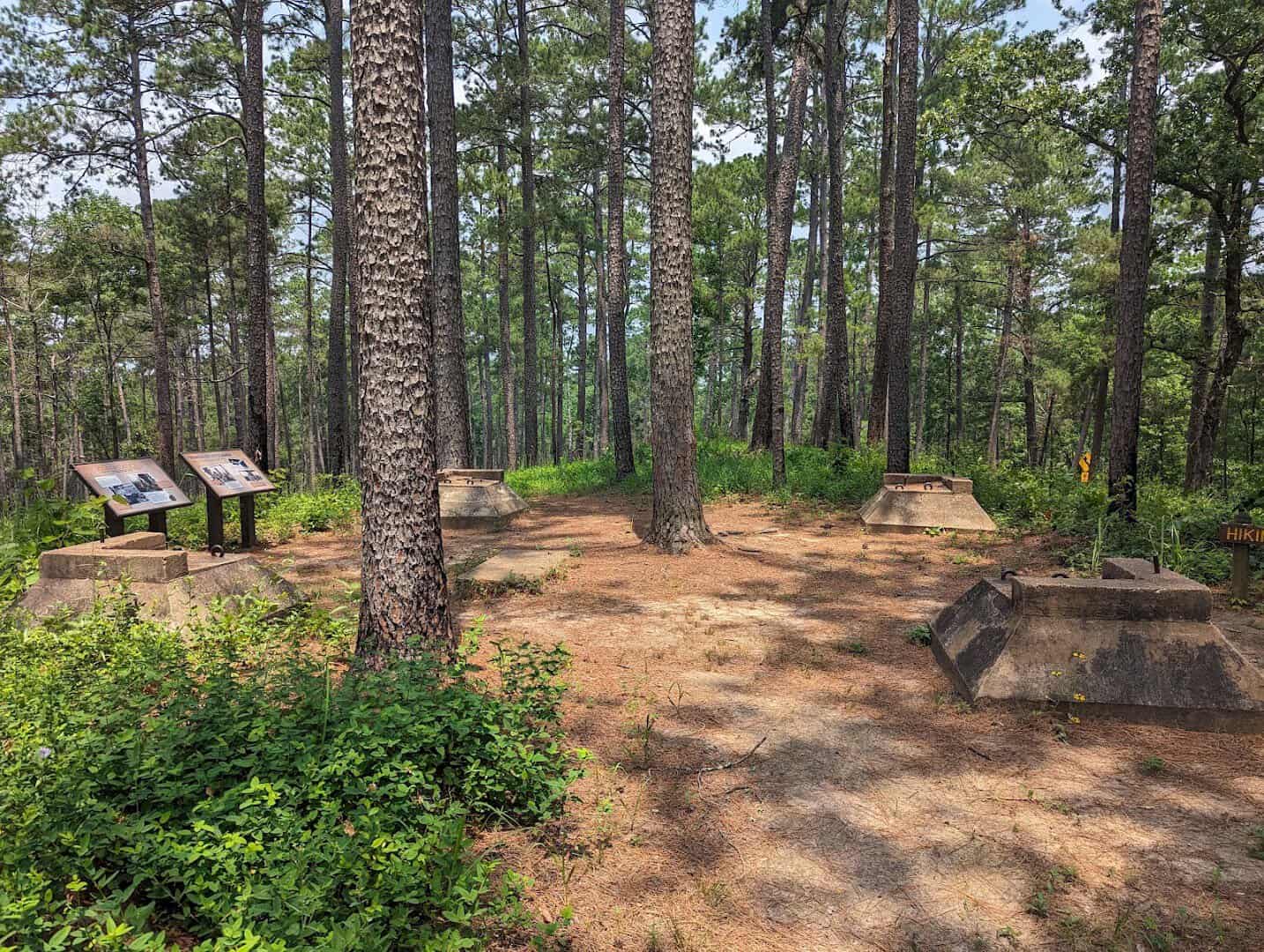 Interpretive sign among the tall pines at Mission Tejas State Park