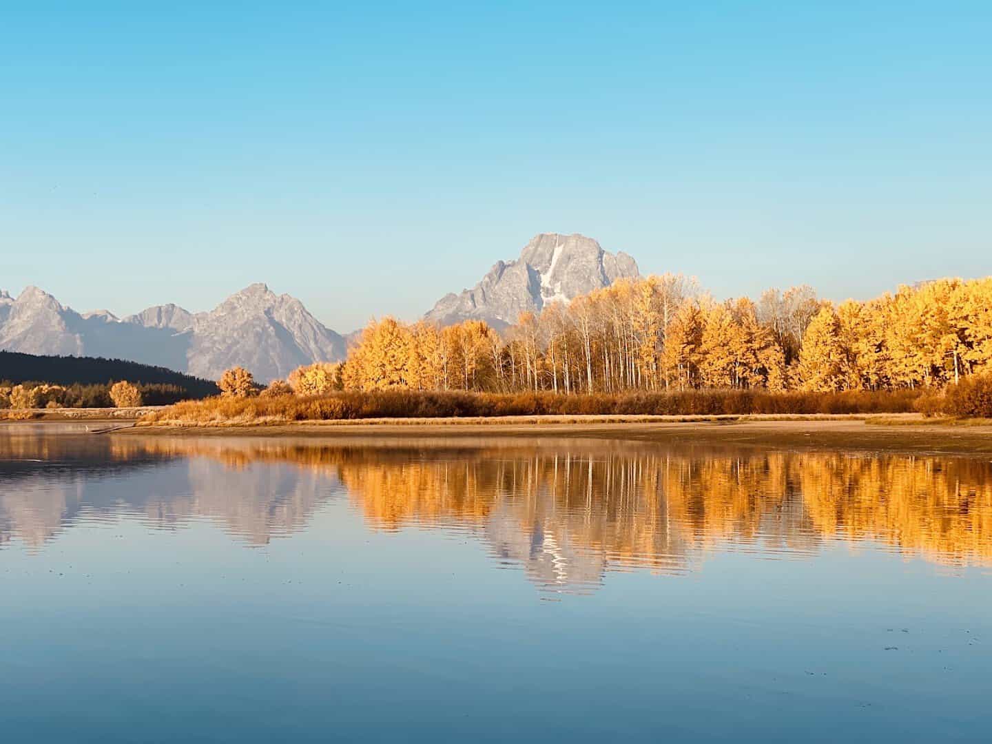 Grand Teton reflected in Oxbow Bend with golden autumn cottonwoods near Jackson, Wyoming