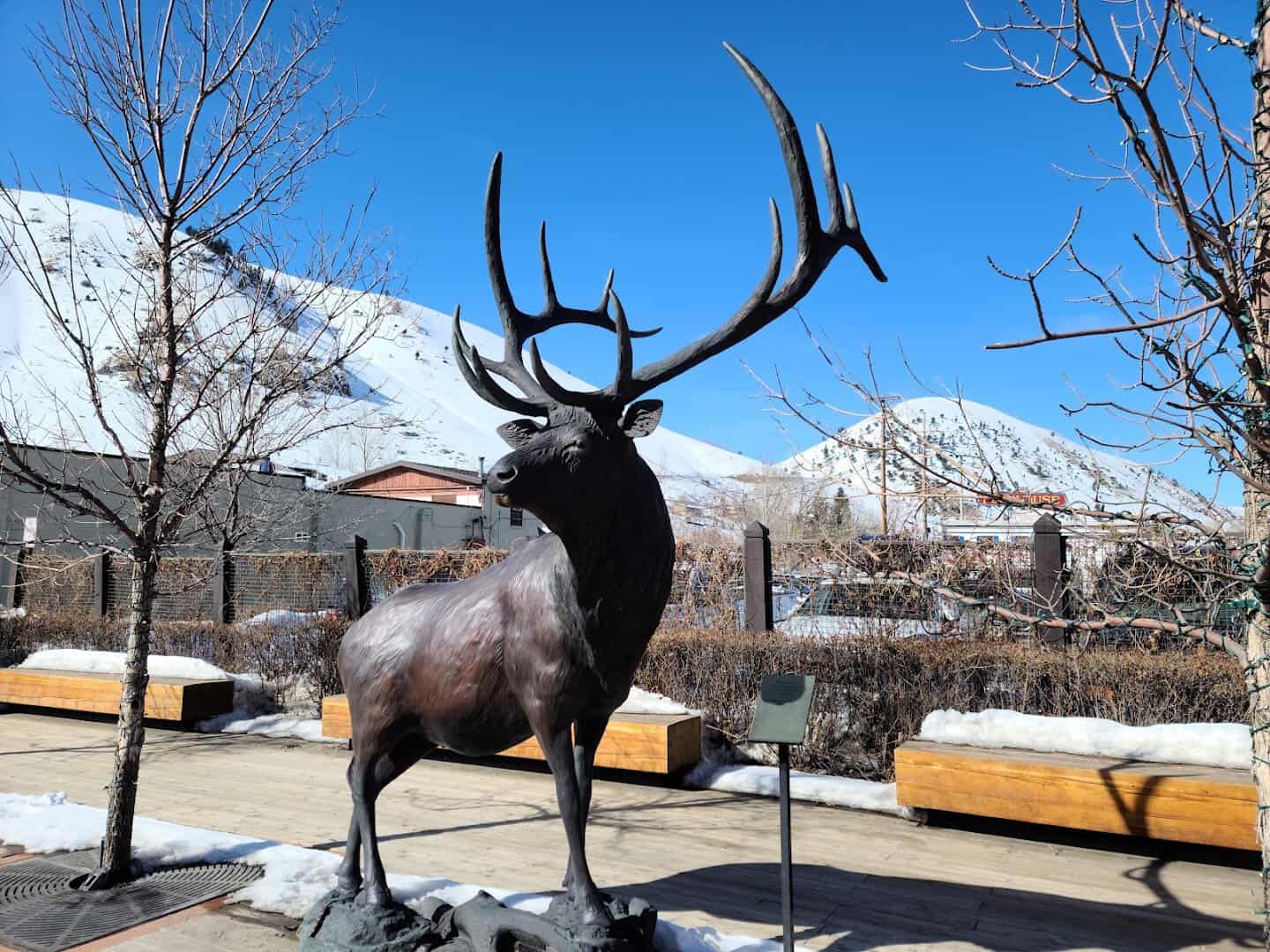 Elk statue with snowy ground and mountains in Jackson, Wyoming