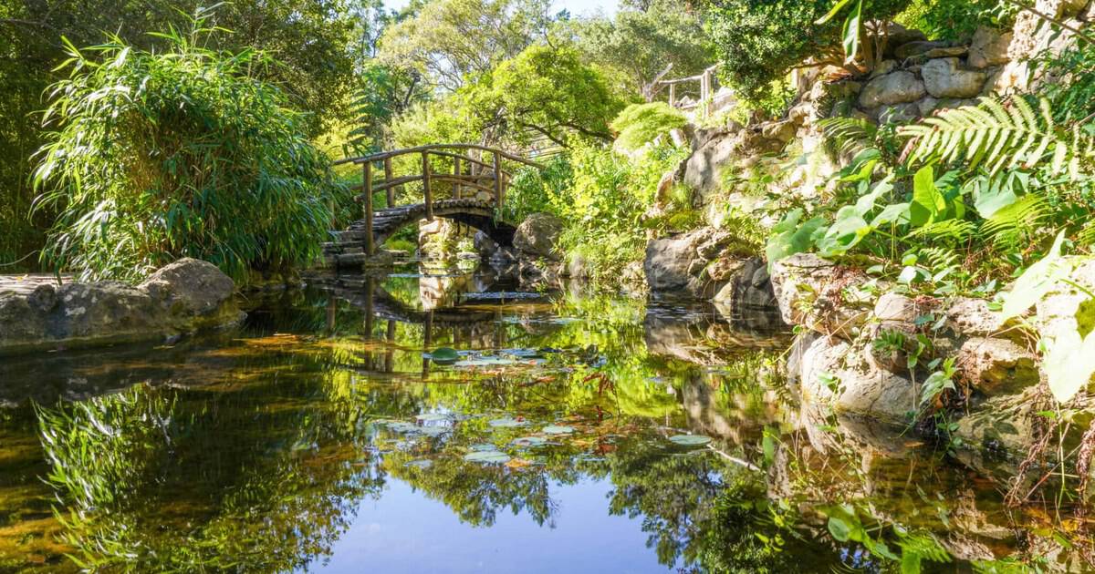 This Lush Texas Garden Hides Dinosaur Tracks and a Hand-Built Japanese Garden
