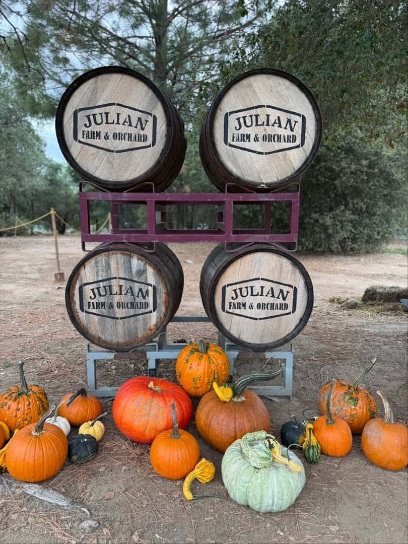 Pumpkins and harvest barrels at Julian Farm and Orchard, Julian, California in fall