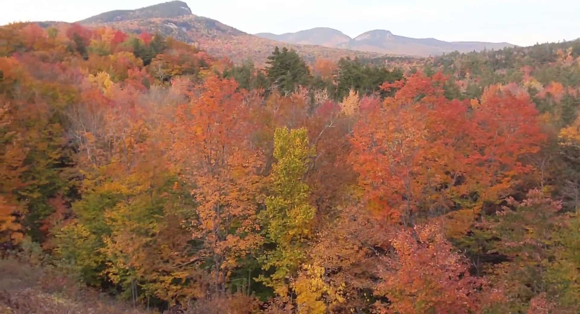 Blazing autumn foliage and mountains from a Kancamagus Highway overlook in New Hampshire