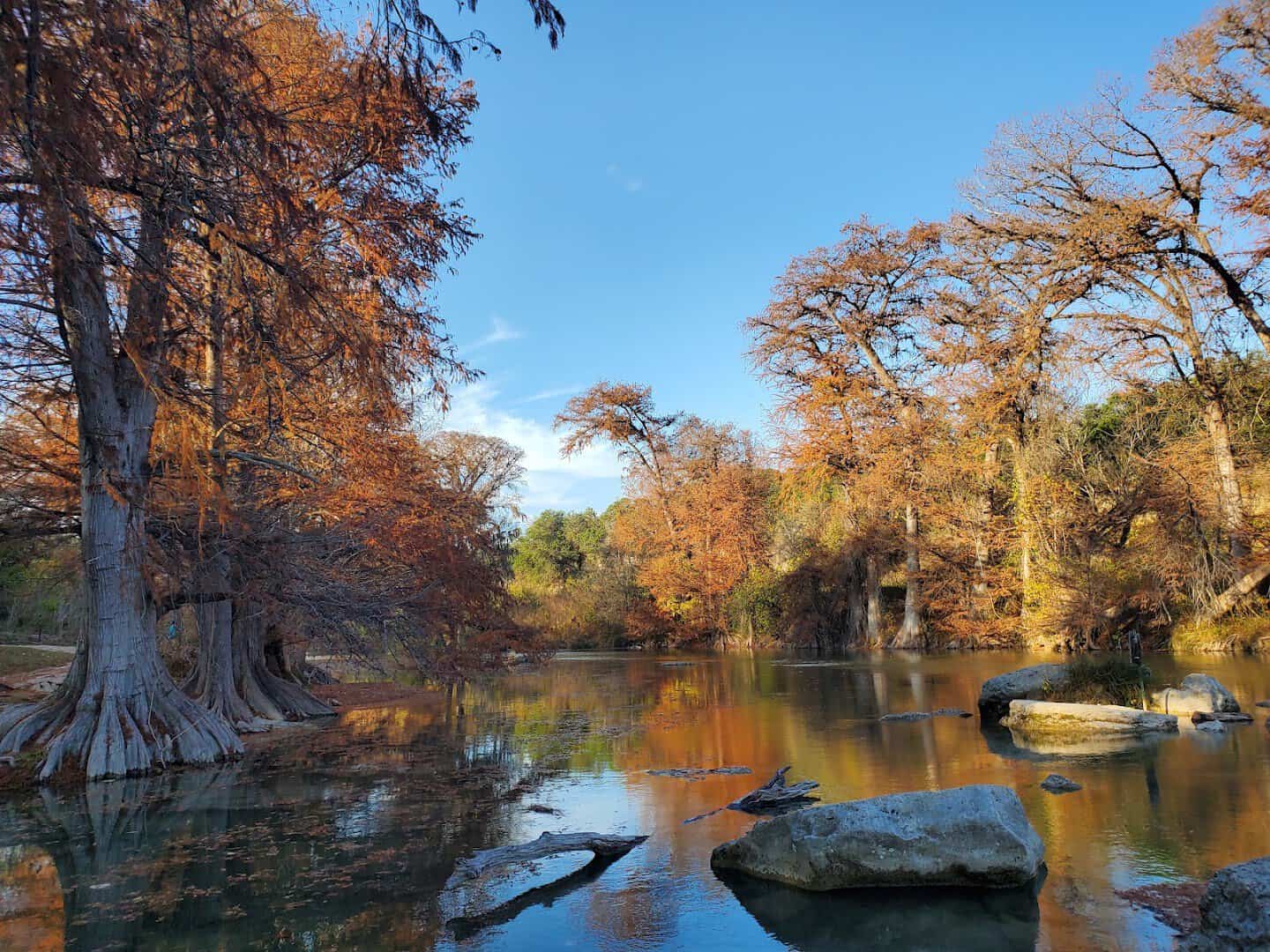 Autumn cypress trees reflected in the calm Guadalupe River at Guadalupe River State Park