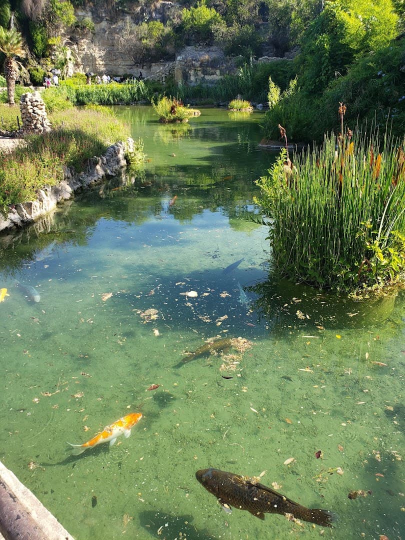 Koi pond and green island at the Japanese Tea Garden in San Antonio