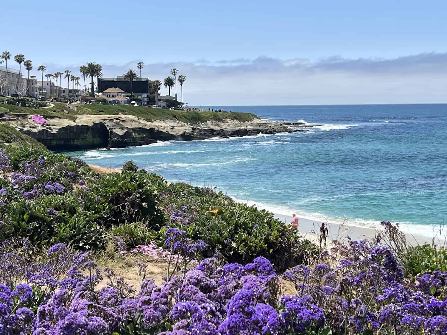 Turquoise water and blooming bluffs at La Jolla Cove in La Jolla, California