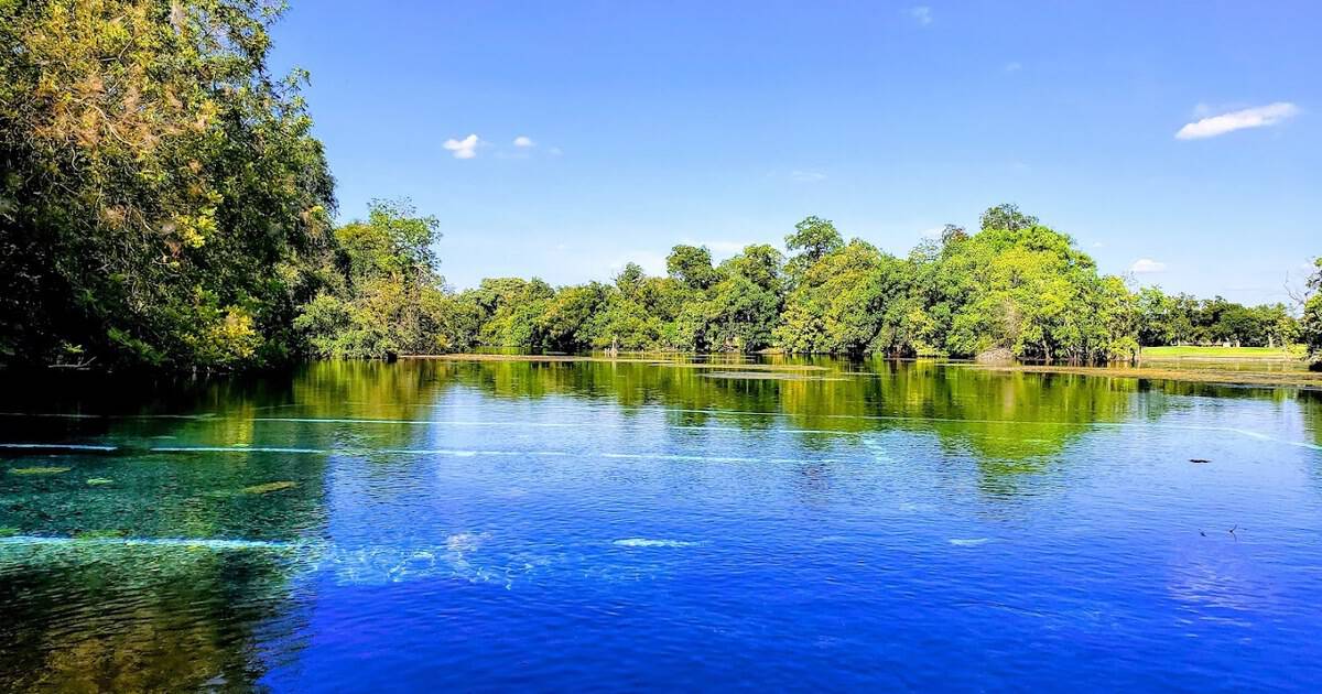 This Spring-Fed Texas Park Is Built Around the Largest Springs in the Southwest