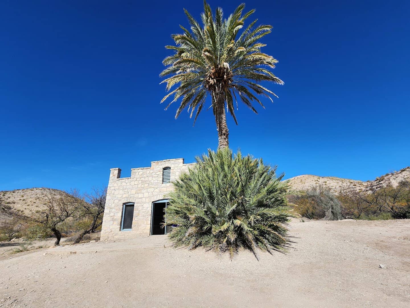 Stone shell of Langford's old general store and post office with a palm tree at Big Bend