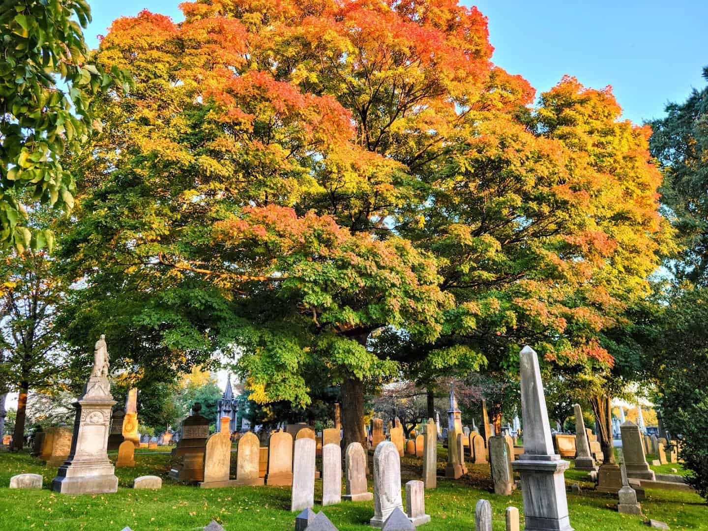 Autumn foliage over Victorian headstones and statuary at Laurel Hill Cemetery in Philadelphia, Pennsylvania
