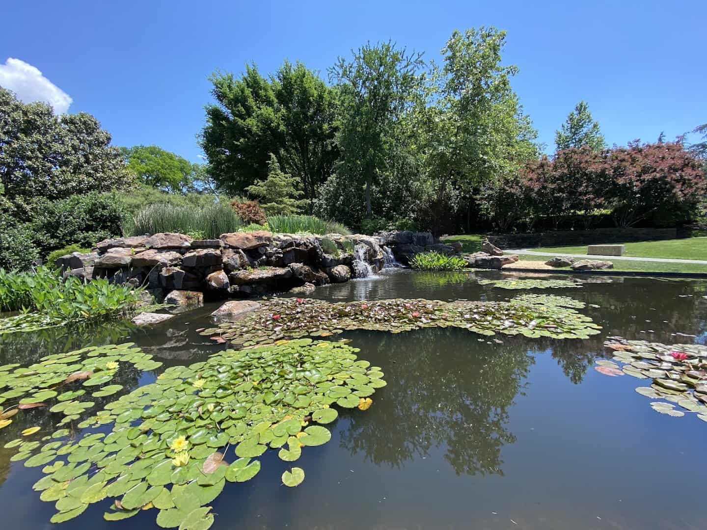 Waterfall and lily pond in the Lay Family Garden at the Dallas Arboretum in Dallas